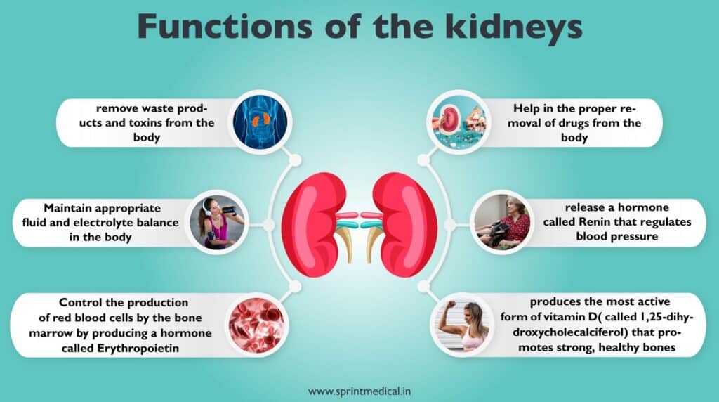 All You Need to Know About Dialysis in Singapore | Vascular & Interventional Centre