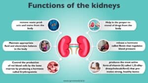 dialysis