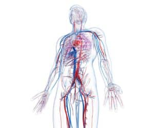 vascular disease treatment singapore